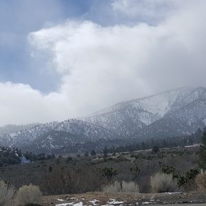 Meet your Posher, Sandy